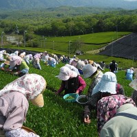 今日のリトルゴッド占い／小さき神からのメッセージ／2011-05-02